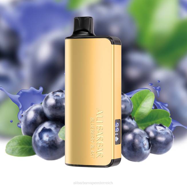 Alibarbar Vape Price - Blaubeer-Explosion 6H4615 Alibarbar Ingot 9000 Einweg-Vaporizer
