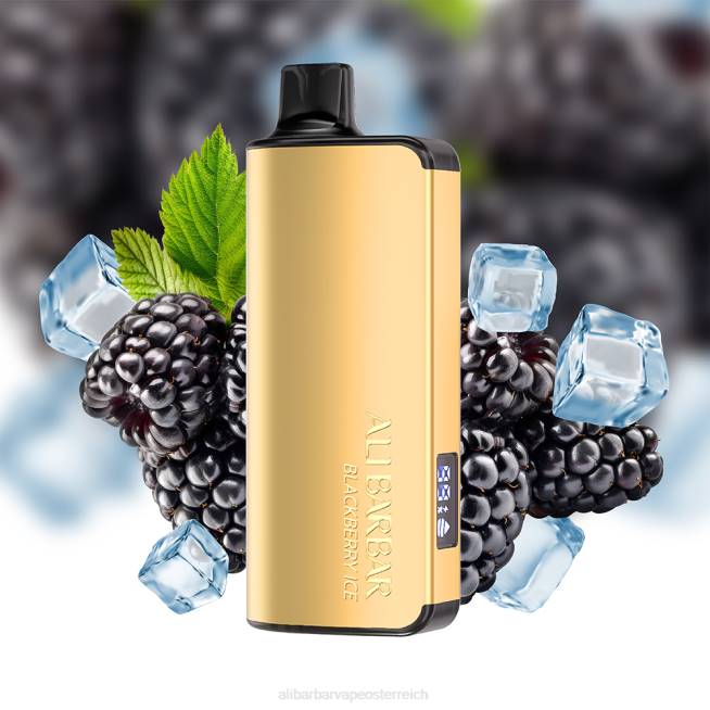 Alibarbar Vape Price - Blaubeer-Explosion 6H4615 Alibarbar Ingot 9000 Einweg-Vaporizer