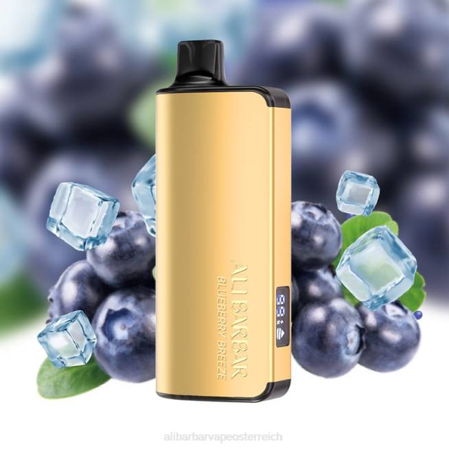 Alibarbar Nicotine Vape - Blaubeerbrise 6H4632 Alibarbar Ingot 20000 Einweg-Vaporizer