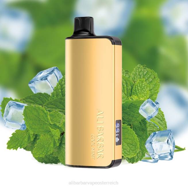 Alibarbar Vape Nicotine - kühle Minze 6H4635 Alibarbar Ingot 20000 Einweg-Vaporizer