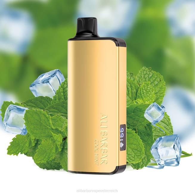 Alibarbar Nicotine Content - kühle Minze 6H4618 Alibarbar Ingot 9000 Einweg-Vaporizer