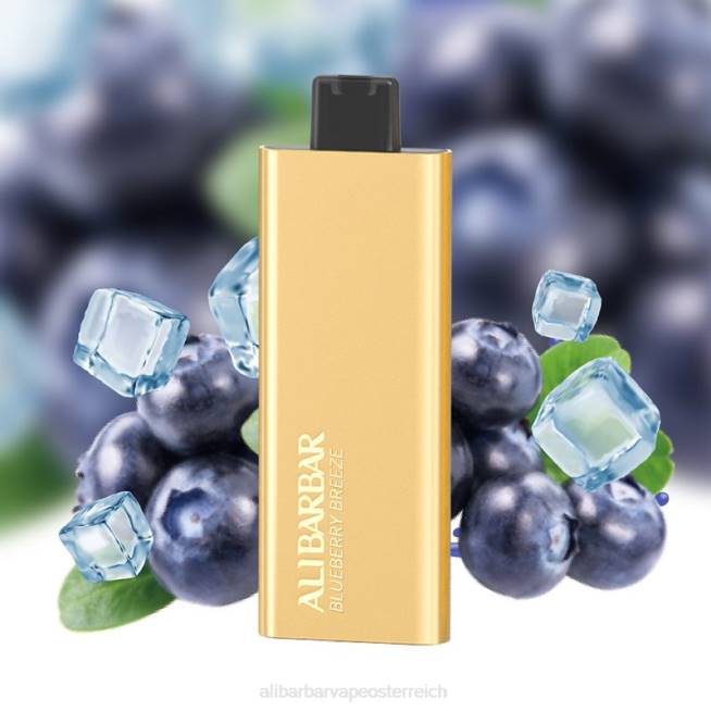 Alibarbar Vape Nicotine - Blaubeerbrise 6H4651 Alibarbar Pandora 7000 Einweg-Vaporizer